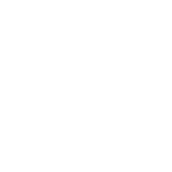 Icon-newsletter